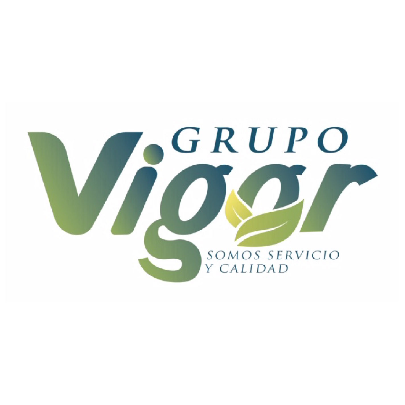 Grupo Vigor